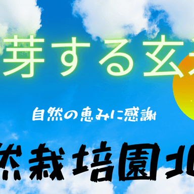 真空パックの玄米は発芽しない