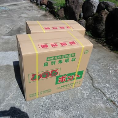 みのるポット育苗箱
