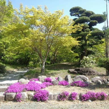 福岡の庭園で感謝