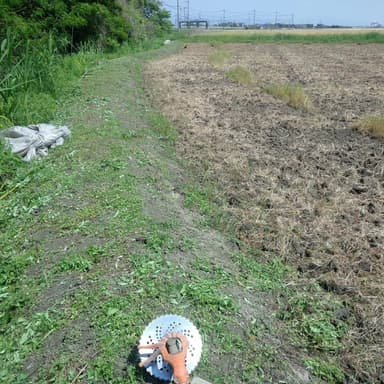 今年2回目の草刈り