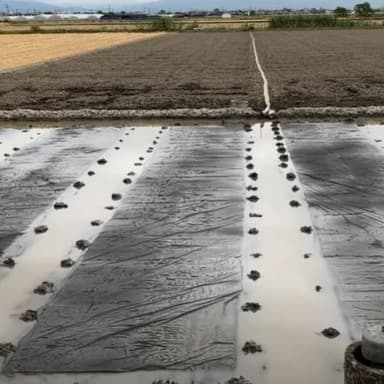 身体と心は連携しているよ