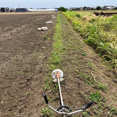 除草剤を使用しないから地下水を汚さない草刈