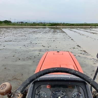 梅雨の曇り空に感謝申し上げます。