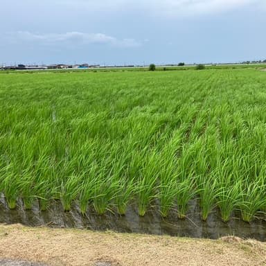 台風は地球の浄化作用・病気は身体の浄化作用