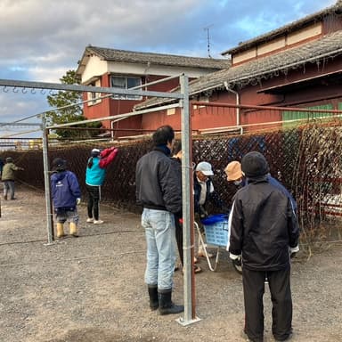 有明産冷凍網干しのお手伝いが楽しい