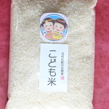 「神の力」と「こども米」：感謝と支援の物語　食べ物の貧困が身体の破壊に繋がる