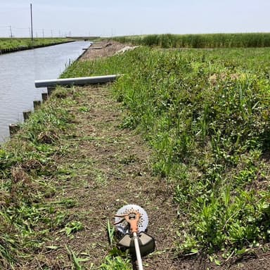 自然農法「自然と調和する草刈り作業：除草剤不使用の取り組み」30年DNAコシヒカリ