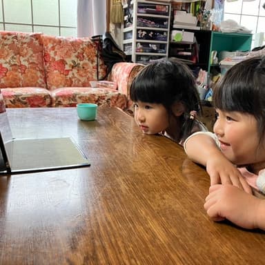 双子の孫は2卵生で性格がまったく違う姉はマイペース妹は好奇心旺盛