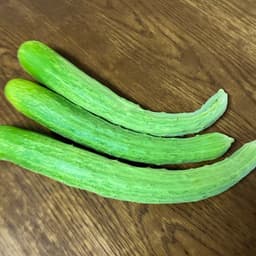 【家庭菜園便り】キュウリが実り始めました