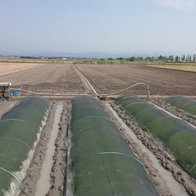 排水が良くなるように溝堀