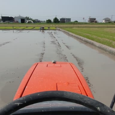 神が与えたこの我が家（自然界）で身体が