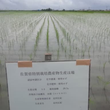佐賀県　特別栽培農産物　認証の看板を設置