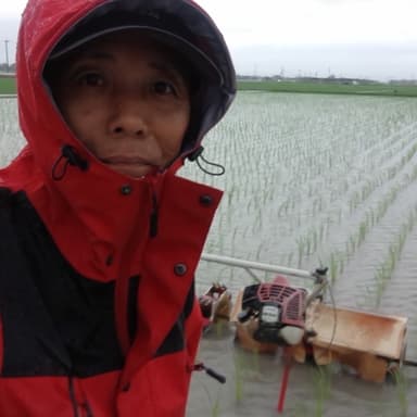 今年3回目の除草機ガンズメは雷鳴轟く雨