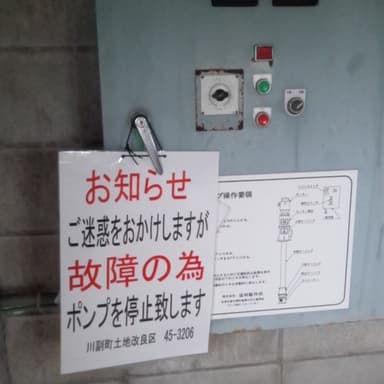 雑草が生えてジャンボタニシの出番