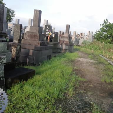 楽しいお墓掃除と草取り除草