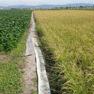 食べ物が沢山あっても食べらる物が無くなった