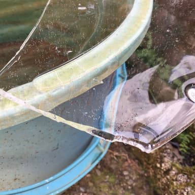 九州佐賀市に初氷を見つけ