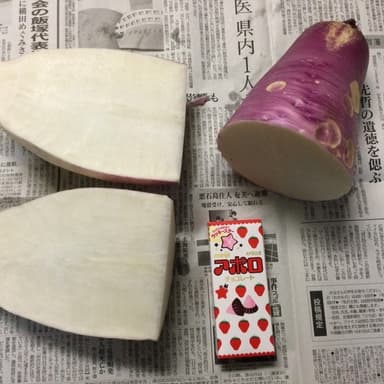 我が家の家庭菜園無肥料・無農薬栽培