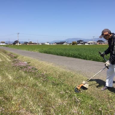 徹底的に農薬を使用しない意味と価値