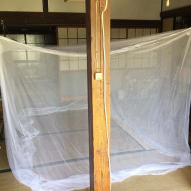 蚊帳をアマゾンで購入