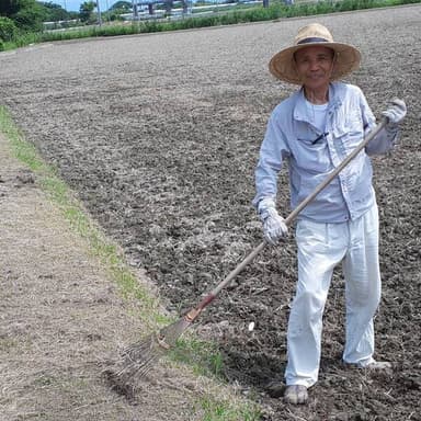 松葉ほうきで田んぼのアゼを