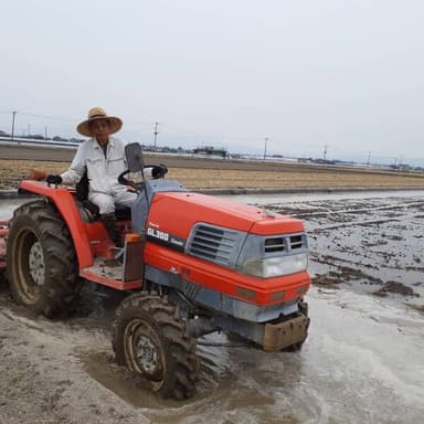 水田に水を入れてトラクターで荒掻き