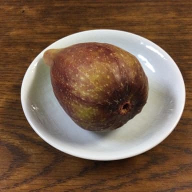 無肥料・無農薬栽培の無花果（イチジク）