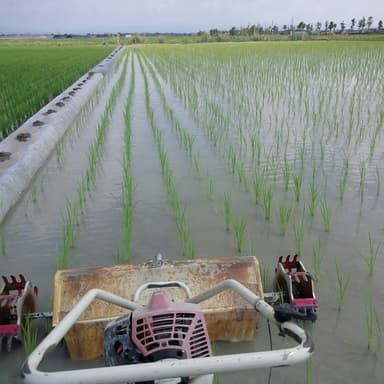炎天下で身体はへとへと除草機作業