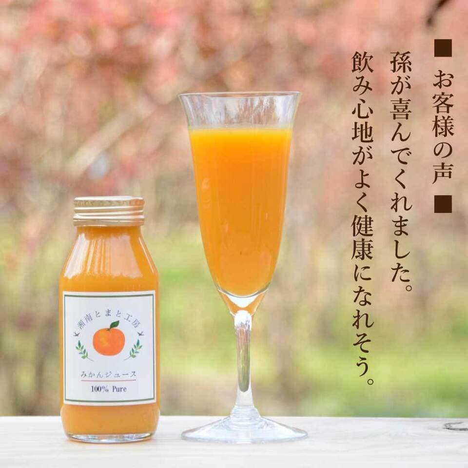 湘南無添加100％みかんジュースギフトセット