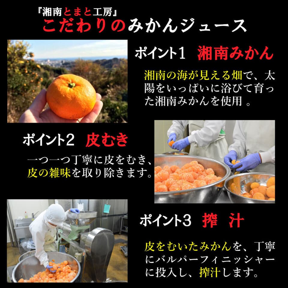 湘南プレミアムジュースセット