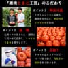 サムネイル 13