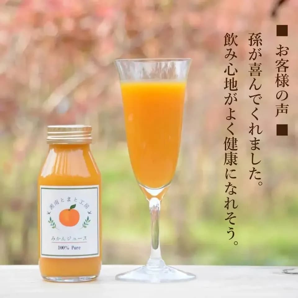 湘南無添加100％トマトジュースとみかんジュースのギフトセット