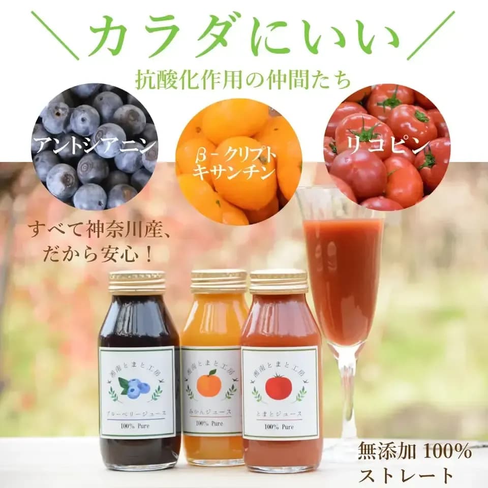湘南無添加100％トマトジュースとみかんジュースのギフトセット