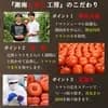 サムネイル 8
