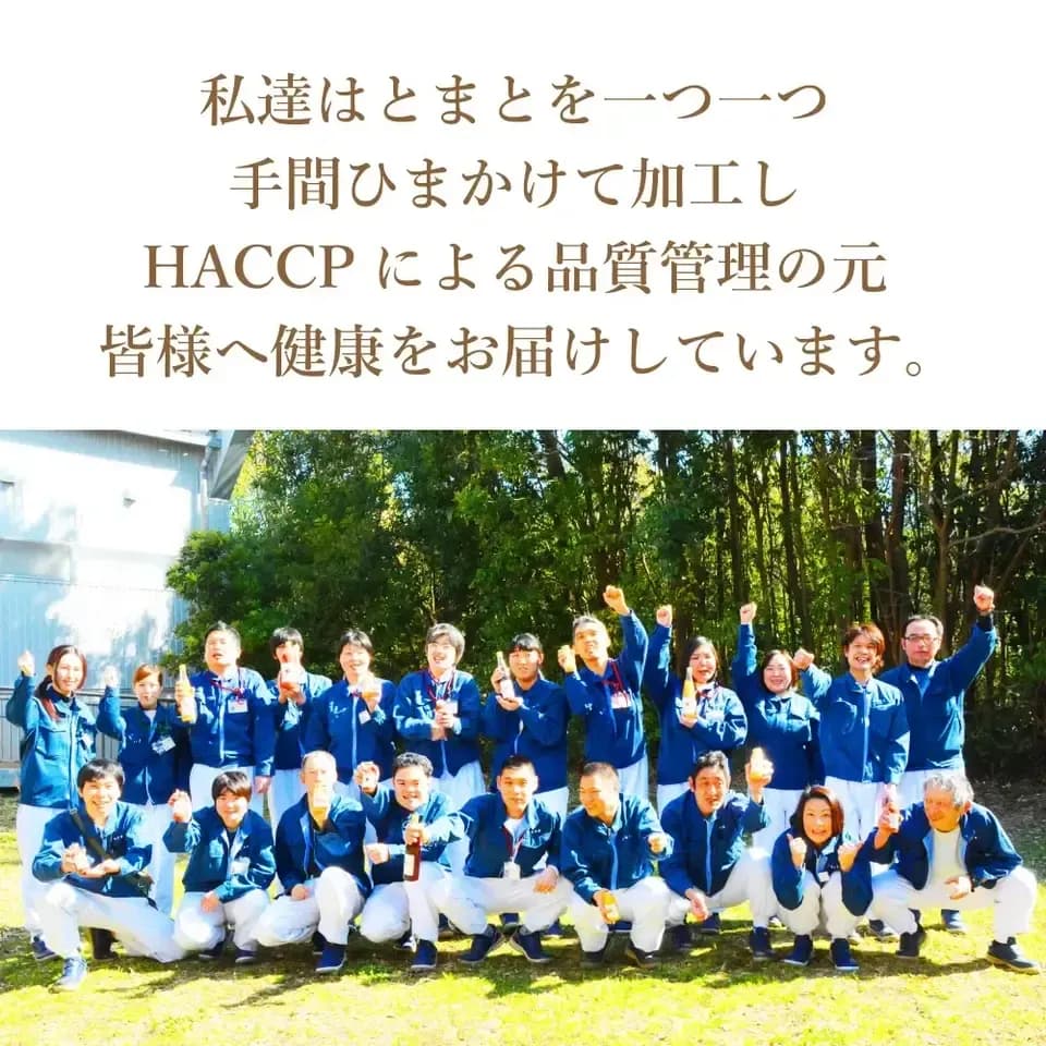 湘南無添加100％トマトジュースとみかんジュースのギフトセット