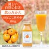 サムネイル 4