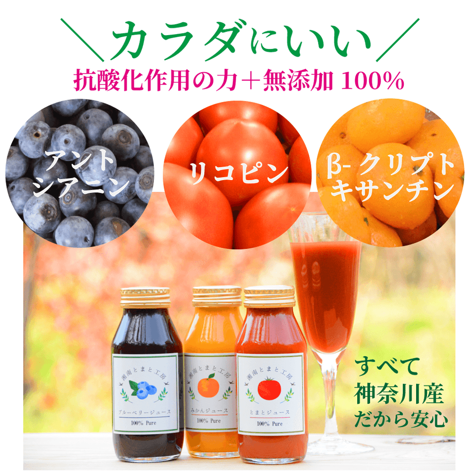 湘南プレミアムジュースセット