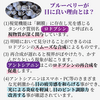 サムネイル 6