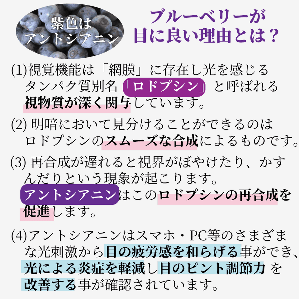 湘南プレミアムジュースセット