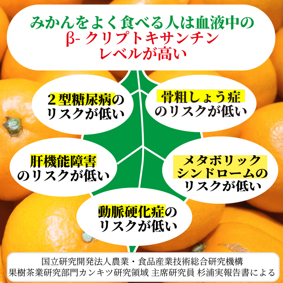 湘南プレミアムジュースセット