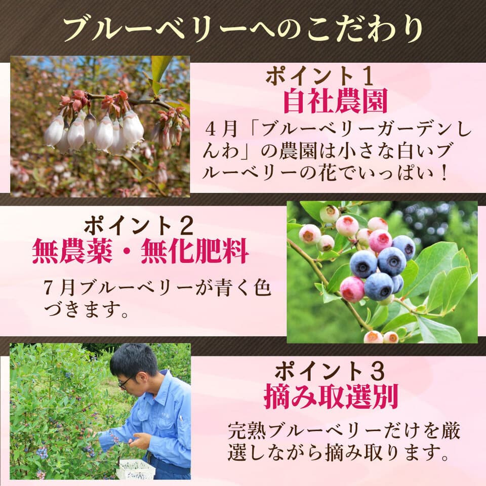 湘南プレミアムジュースセット