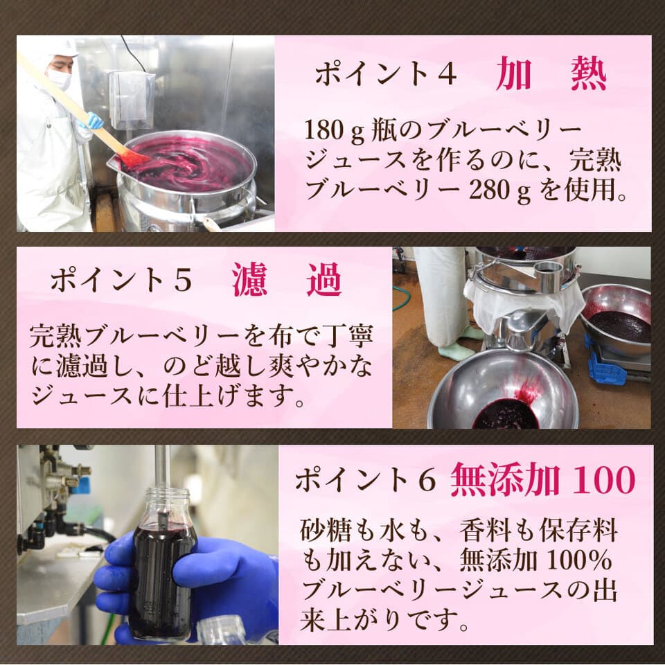 無添加100％ブルーベリージュースセット