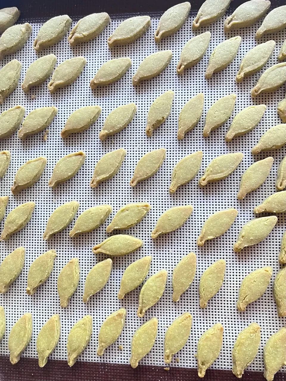 100%植物性・ヴィーガン・グルテンフリー＜自家製酵母の米粉クッキーセット＞小麦・卵・乳製品・白砂糖不使用