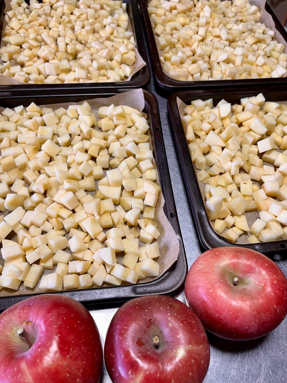 【今シーズンは完売しました】ありがとうございました！100%植物性ヴィーガン＜自家製酵母のシュトレン＞