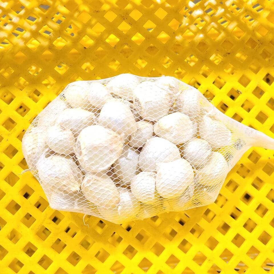濃厚で甘い！大粒【福地ホワイト六片にんにく】農薬・化学肥料・除草剤・防虫剤等不使用（バラ）