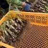 サムネイル 6