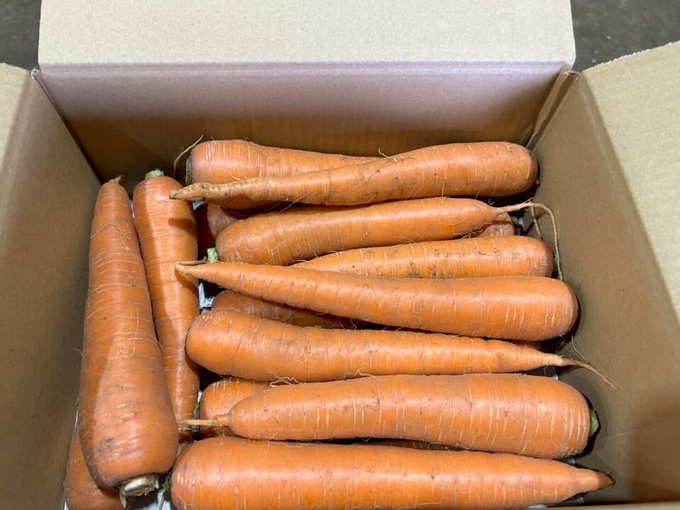 自然の甘みがぎゅっと詰まった【にんじん】農薬・化学肥料・除草剤・防虫剤不使用