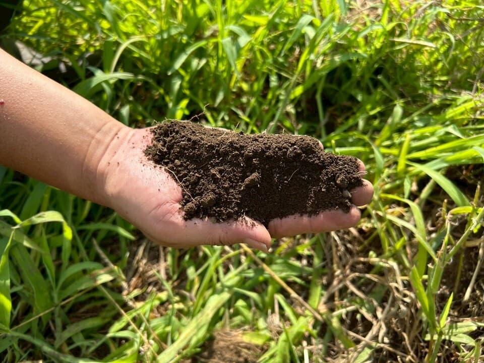 自然の甘みがぎゅっと詰まった【にんじん】農薬・化学肥料・除草剤・防虫剤不使用
