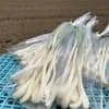 サムネイル 7
