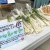 サムネイル 9